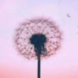 Meet your Posher, Madelyn